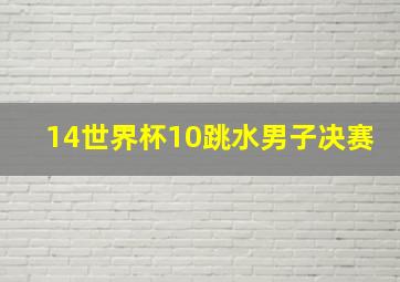 14世界杯10跳水男子决赛