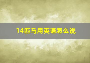 14匹马用英语怎么说