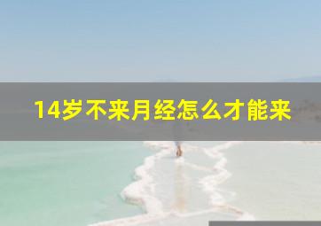 14岁不来月经怎么才能来