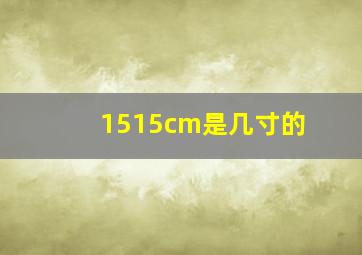 1515cm是几寸的