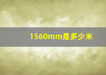 1560mm是多少米