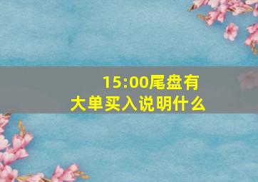 15:00尾盘有大单买入说明什么