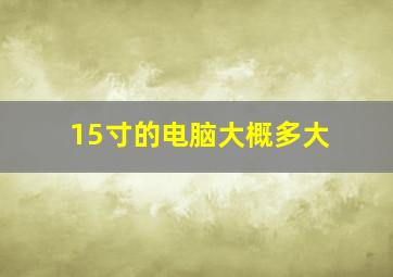 15寸的电脑大概多大