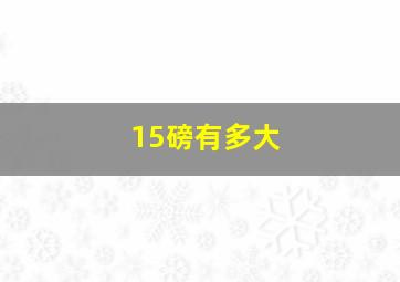 15磅有多大