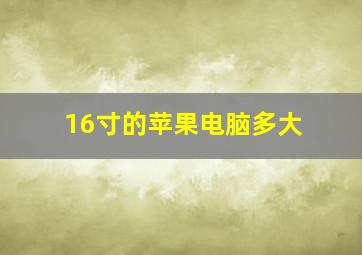 16寸的苹果电脑多大