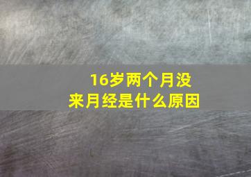 16岁两个月没来月经是什么原因