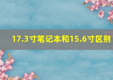 17.3寸笔记本和15.6寸区别