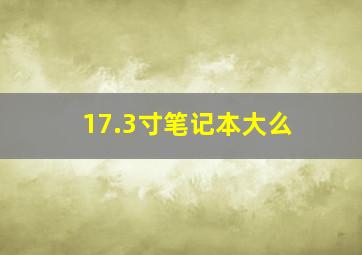 17.3寸笔记本大么