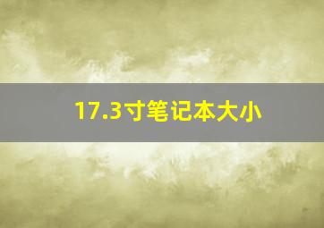 17.3寸笔记本大小