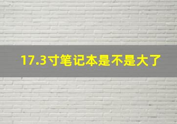 17.3寸笔记本是不是大了