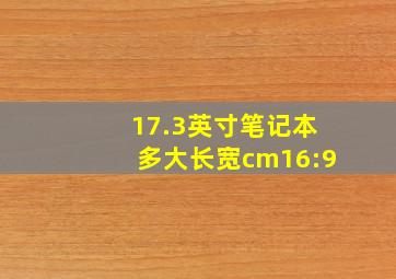 17.3英寸笔记本多大长宽cm16:9