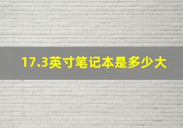 17.3英寸笔记本是多少大