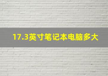 17.3英寸笔记本电脑多大