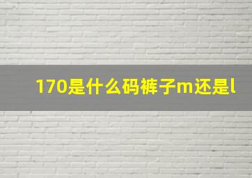 170是什么码裤子m还是l