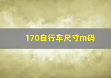 170自行车尺寸m码