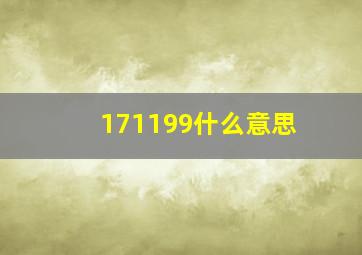 171199什么意思