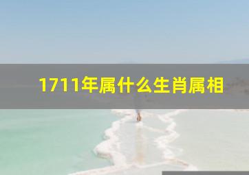 1711年属什么生肖属相