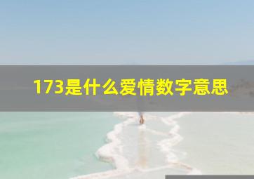 173是什么爱情数字意思