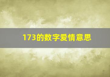 173的数字爱情意思