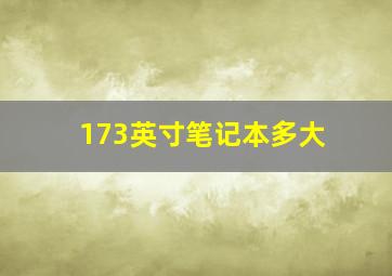 173英寸笔记本多大