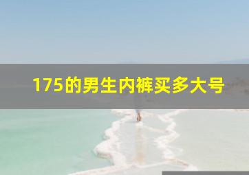 175的男生内裤买多大号