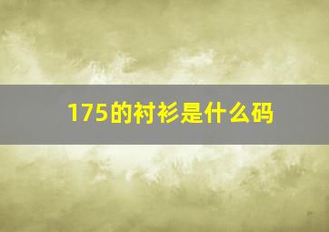 175的衬衫是什么码