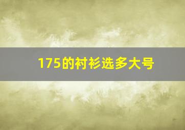 175的衬衫选多大号