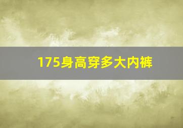 175身高穿多大内裤