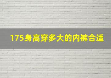 175身高穿多大的内裤合适