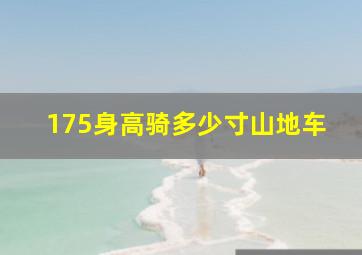 175身高骑多少寸山地车