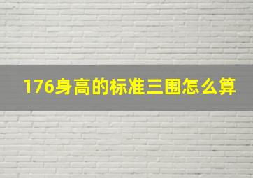 176身高的标准三围怎么算