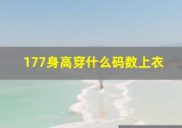 177身高穿什么码数上衣