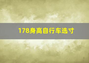 178身高自行车选寸