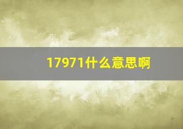 17971什么意思啊