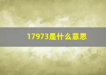 17973是什么意思