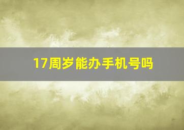 17周岁能办手机号吗