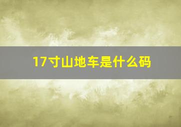 17寸山地车是什么码