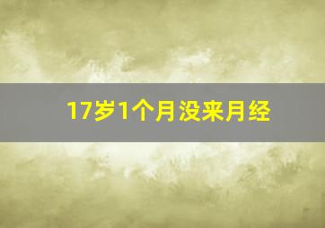 17岁1个月没来月经