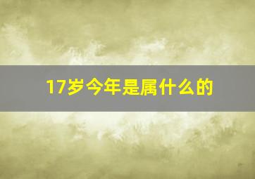 17岁今年是属什么的