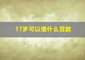 17岁可以借什么贷款