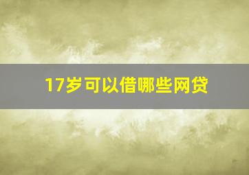 17岁可以借哪些网贷