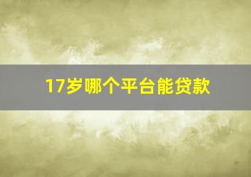 17岁哪个平台能贷款