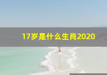 17岁是什么生肖2020