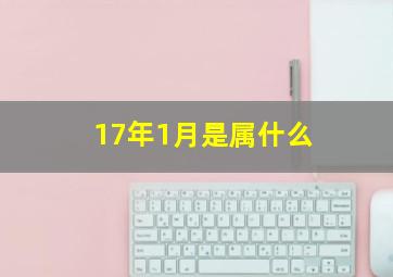 17年1月是属什么