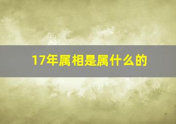 17年属相是属什么的