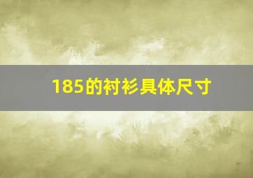 185的衬衫具体尺寸