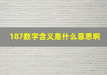 187数字含义是什么意思啊