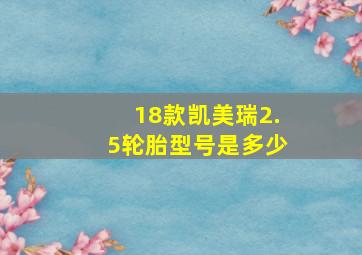 18款凯美瑞2.5轮胎型号是多少