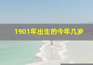 1901年出生的今年几岁