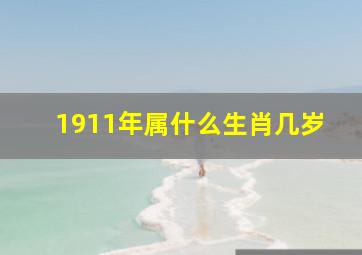 1911年属什么生肖几岁